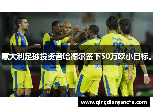 意大利足球投资者哈德尔签下50万欧小目标。